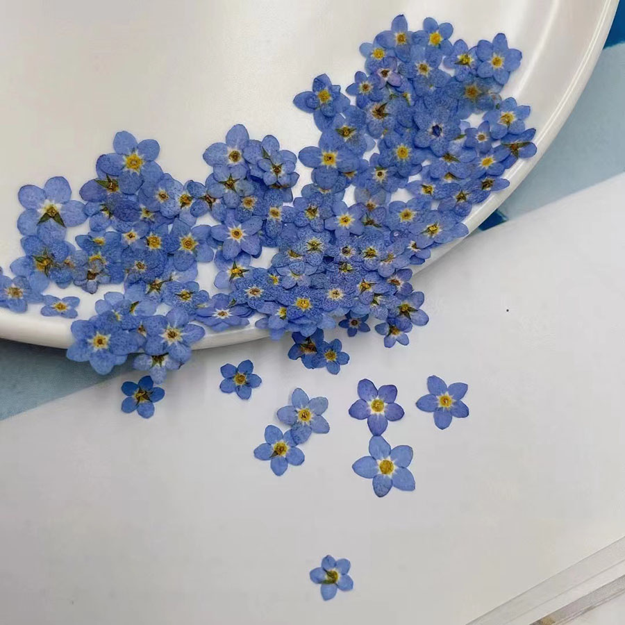 60개입 미니 압화 꽃 - 사진 액자, 레진 주얼리,  - Resin Art Baby 리뷰 및 가격